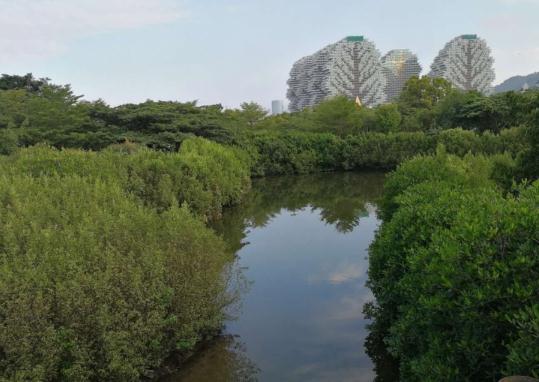 1635904602176071529.jpg 3caabde45b580f758db0c7700fd2b84e.jpg