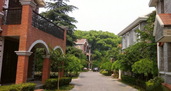 1663860036170064917.png 1663860036170064917.png