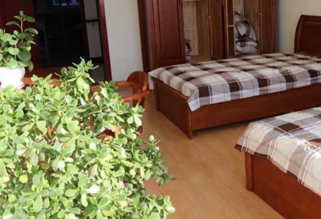 1699371832299008897.png 1699371832299008897.png