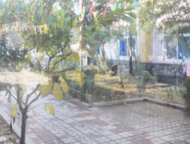 1701353164311021111.png 1701353164311021111.png