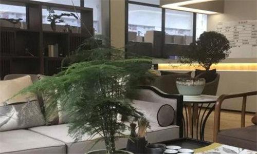 1701778812229034584.png 13.png