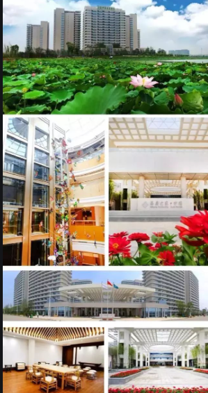 1703061346905035848.png 1703061338002.png