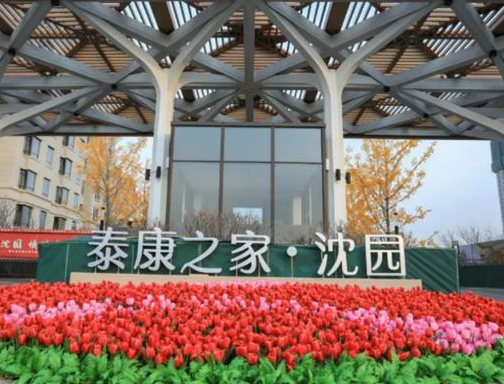 1706258186955086933.png 1706258179493.png