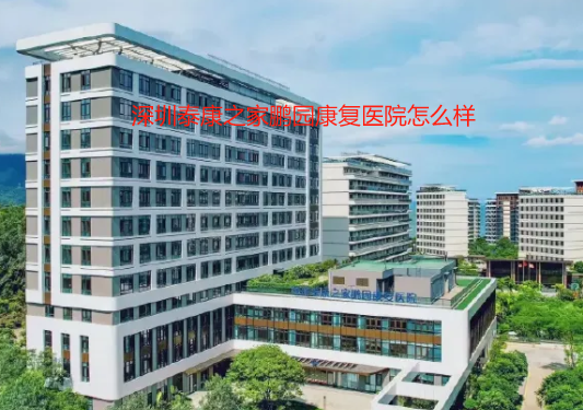 1729320854723070008.png 1729320847791.png