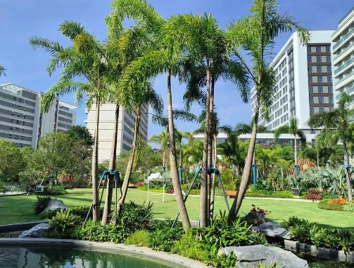 1732779765786092995.png 1732779762860.png