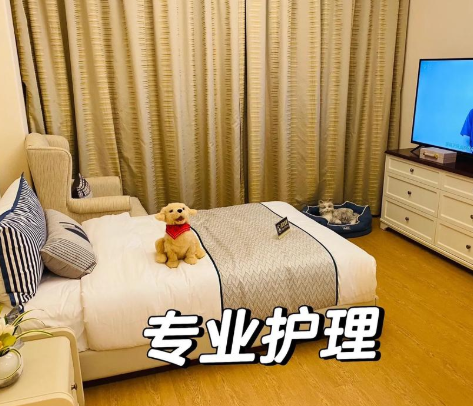 1741070196489024656.png 1741070191306.png