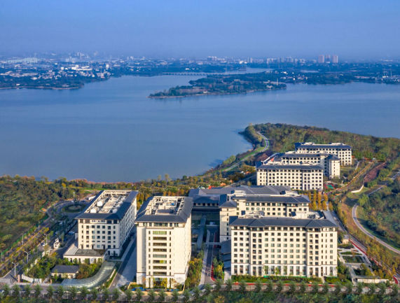 1742970427158089688.png 1742970381602.png