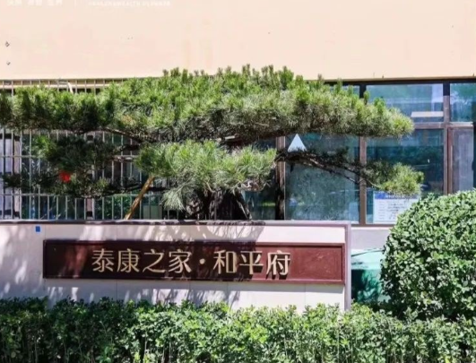 1747896874347020239.png 1747896868095.png