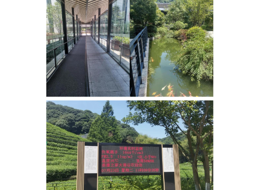 1749537831031001389.png 1749537811967.png