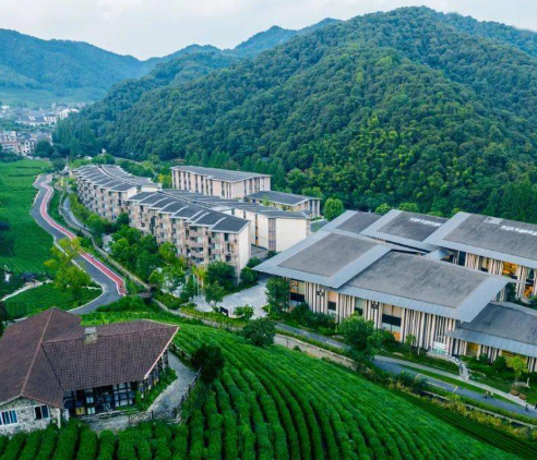 1749623562550038469.png 1749623540954.png