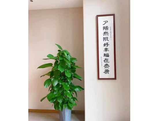 1749794857875052133.png 1749794834011.png